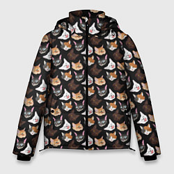 Куртка зимняя мужская Много котов, цвет: 3D-светло-серый