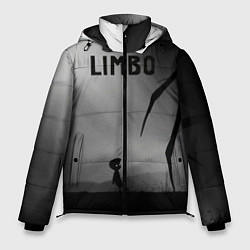 Куртка зимняя мужская Limbo, цвет: 3D-черный
