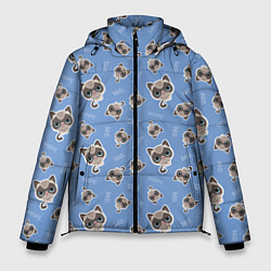 Куртка зимняя мужская Недовольный Кот, цвет: 3D-черный