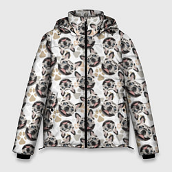Куртка зимняя мужская Собака Французский Бульдог French Bulldog, цвет: 3D-черный
