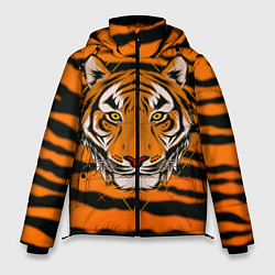 Мужская зимняя куртка Тигр настоящий хищник