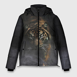Мужская зимняя куртка Тигр в тумане