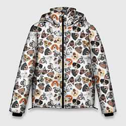 Куртка зимняя мужская Разные Породы собаки, цвет: 3D-черный
