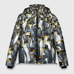 Куртка зимняя мужская Пингвины Penguins, цвет: 3D-черный