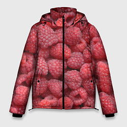Куртка зимняя мужская Малина - ягоды, цвет: 3D-светло-серый