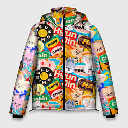 Куртка зимняя мужская Skzoo stickers characters, цвет: 3D-черный