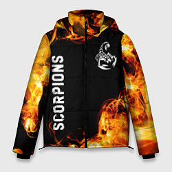 Куртка зимняя мужская Scorpions и пылающий огонь, цвет: 3D-черный