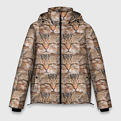 Куртка зимняя мужская Кот - Гипнокот, цвет: 3D-черный