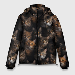 Куртка зимняя мужская Паттерн из котов, цвет: 3D-черный