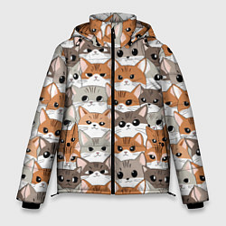Куртка зимняя мужская Паттерн милые котики, цвет: 3D-черный