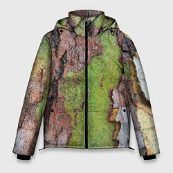 Куртка зимняя мужская Кора дерева, цвет: 3D-светло-серый