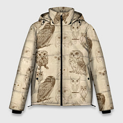 Куртка зимняя мужская Эскизы сов тетрадный лист в клетку, цвет: 3D-светло-серый
