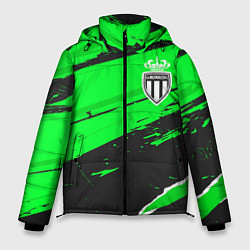 Мужская зимняя куртка Monaco sport green