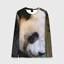 Лонгслив мужской Загадочная панда, цвет: 3D-принт