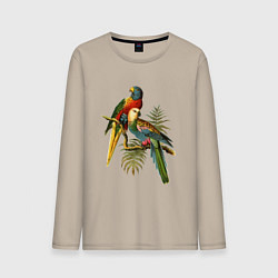 Лонгслив хлопковый мужской Тропические попугаи, цвет: миндальный