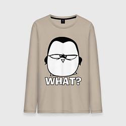 Мужской лонгслив What?