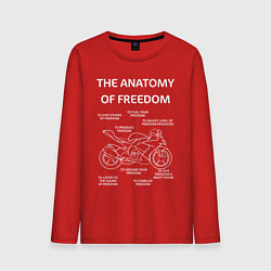 Мужской лонгслив The Anatomy of Freedom