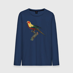Лонгслив хлопковый мужской Попугай аратинга, цвет: тёмно-синий