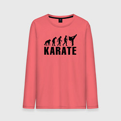 Мужской лонгслив Karate Evolution