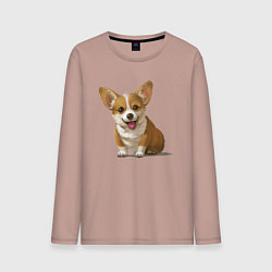 Мужской лонгслив КОРГИ