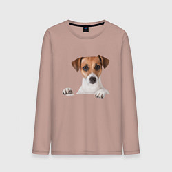 Лонгслив хлопковый мужской Собака, цвет: пыльно-розовый