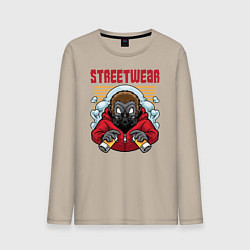 Мужской лонгслив Ёжик в респираторе