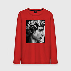 Лонгслив хлопковый мужской Давид Скульптура Тимоти Шаламе, цвет: красный