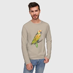 Лонгслив хлопковый мужской Любимый попугай, цвет: миндальный — фото 2