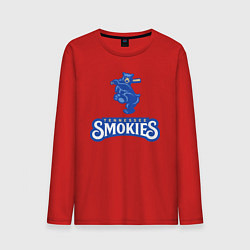 Лонгслив хлопковый мужской Tennessee smokies - baseball team, цвет: красный