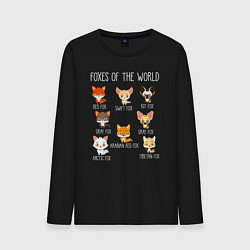 Мужской лонгслив Лисы Мира