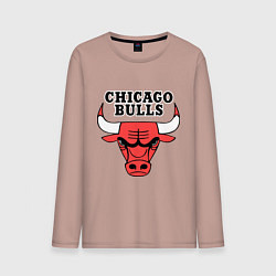 Лонгслив хлопковый мужской Chicago Bulls, цвет: пыльно-розовый