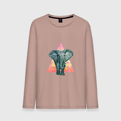 Лонгслив хлопковый мужской Elaphant Adventure, цвет: пыльно-розовый