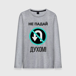 Лонгслив хлопковый мужской Не падай духом!, цвет: меланж