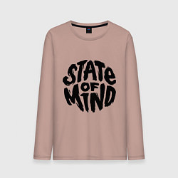 Мужской лонгслив DNB состояние души