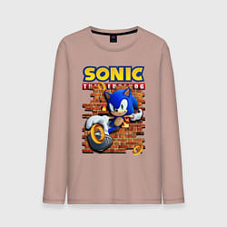 Мужской лонгслив Соник ёж