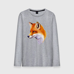 Лонгслив хлопковый мужской Лиса смотрит, цвет: меланж