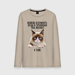 Мужской лонгслив Кот-ворчун мем