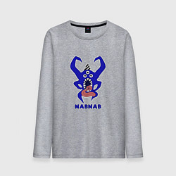 Мужской лонгслив Nabnab - паук без фона