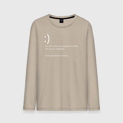 Мужской лонгслив Синий экран windows