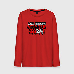 Мужской лонгслив 2023 пережили встречайте 2024