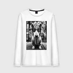 Мужской лонгслив Булли у стены с граффити