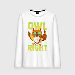 Лонгслив хлопковый мужской Owl right - каламбур отлично, цвет: белый