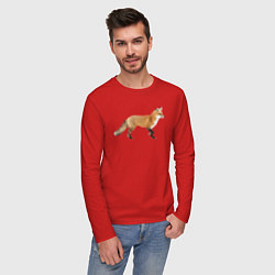 Лонгслив хлопковый мужской Рыжая идущая лиса, цвет: красный — фото 2