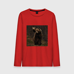 Лонгслив хлопковый мужской Медведи гуляют по лесу, цвет: красный