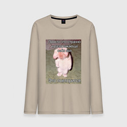 Мужской лонгслив Котик плохо себя вёл мем