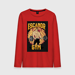 Мужской лонгслив Эсканор грех гордыни gym