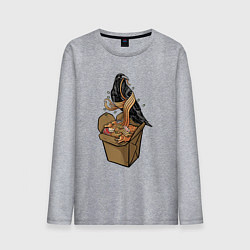 Мужской лонгслив Ворон и лапша