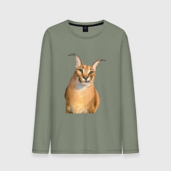 Мужской лонгслив Кот Шлепа блоггер