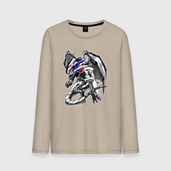 Мужской лонгслив BMW S100RR Drago