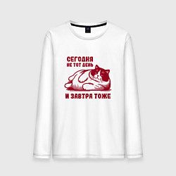 Лонгслив хлопковый мужской Недовольный толстый котик сегодня не тот день, цвет: белый